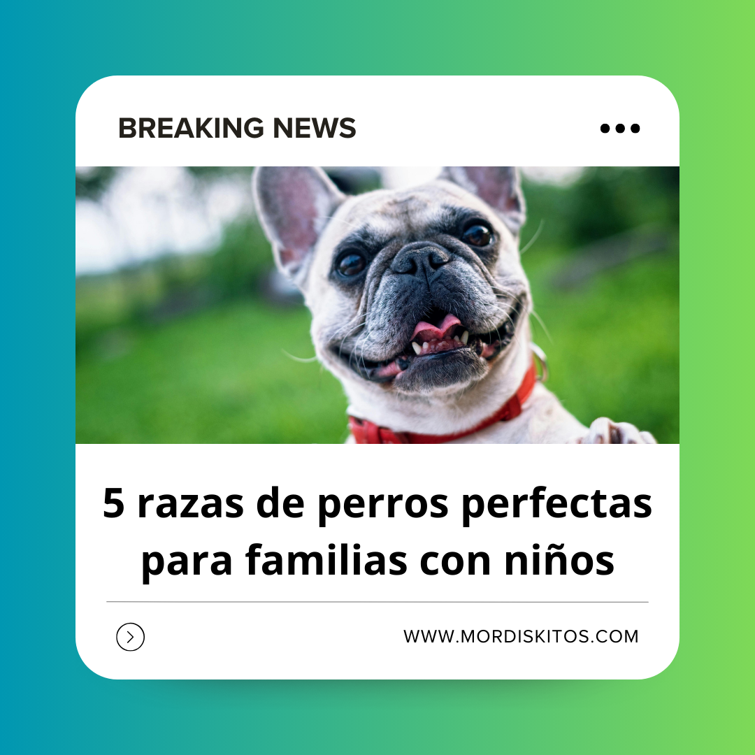 5 Razas de perros perfectas para familias con niños