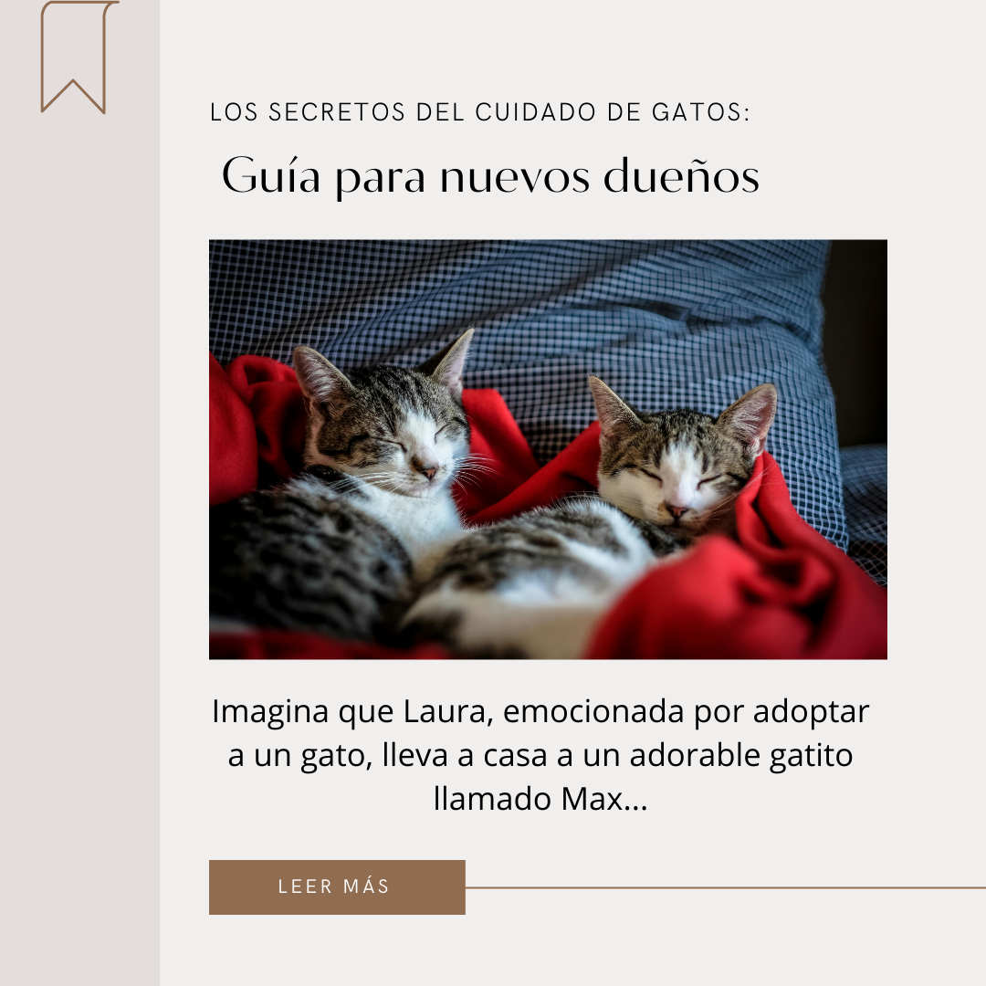 Los secretos del cuidado de gatos: guía para nuevos dueños