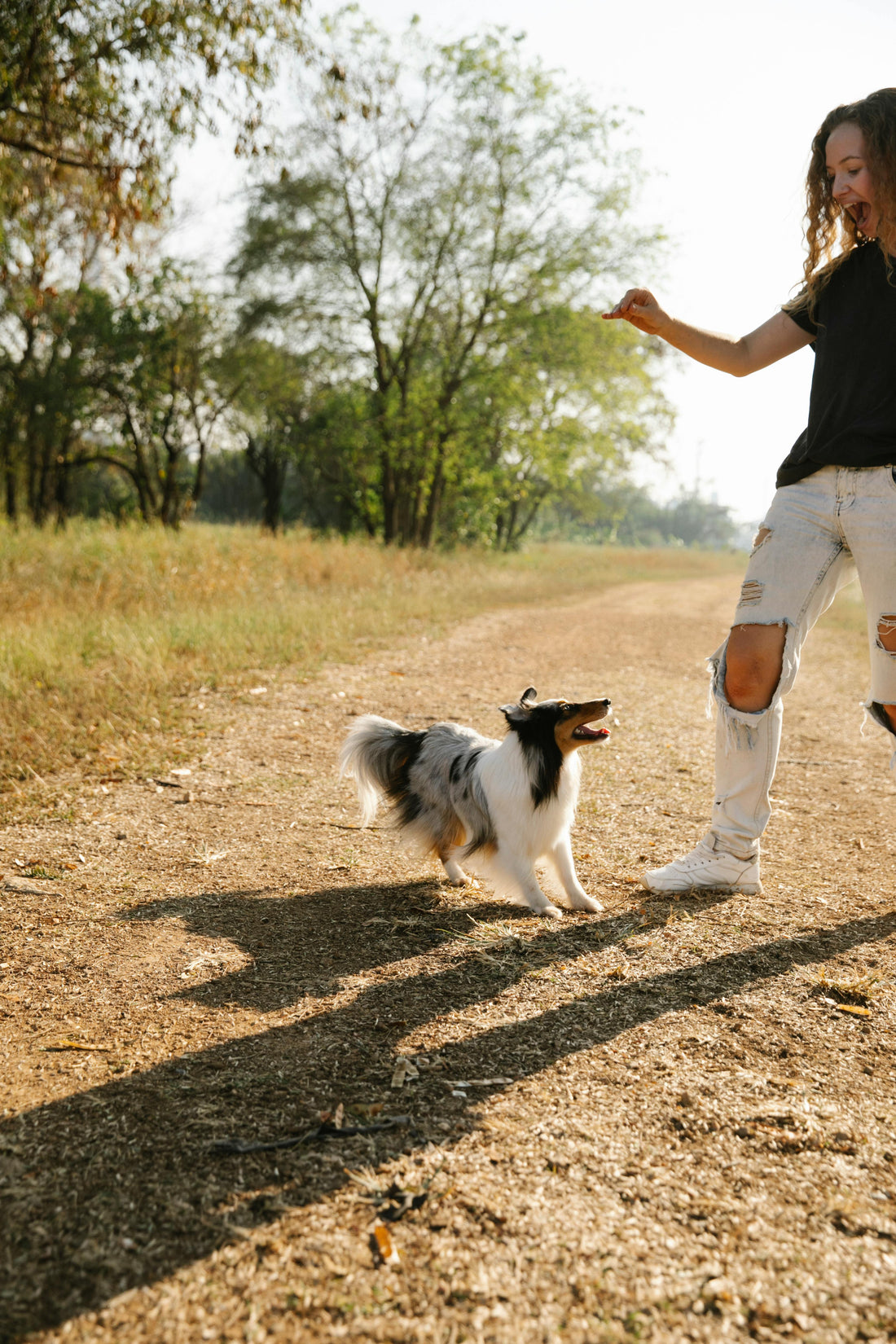 Mi perro está adiestrado y en el parque no me hace ni caso