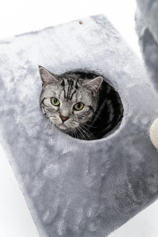 Cómo elegir el juguete ideal para tu gato y evitar el aburrimiento