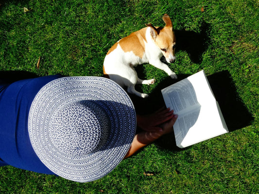 Cómo enseñar a tu perro a no saltar sobre los invitados